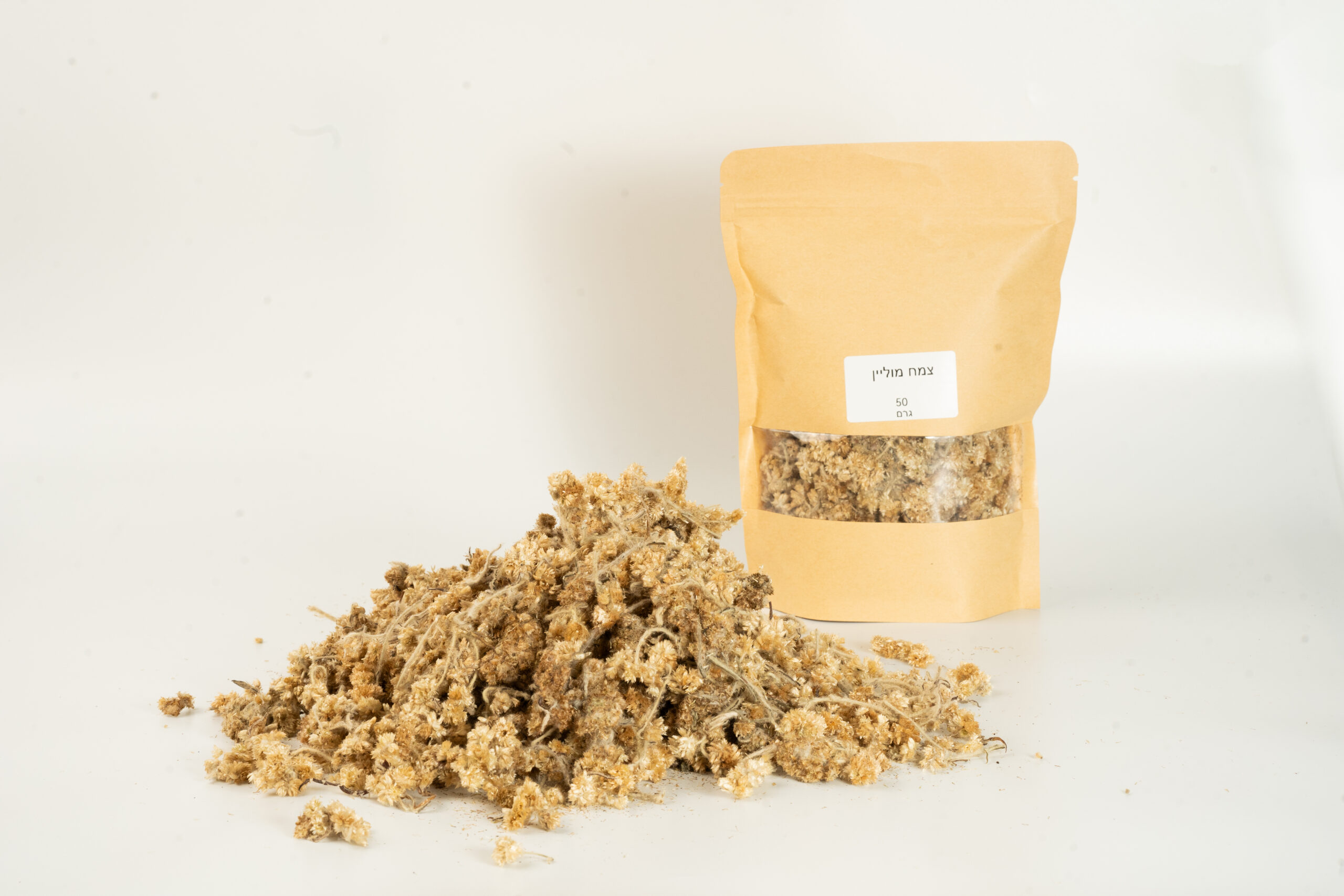 פרחים מוליין - MULLEIN Flowers